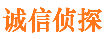 雅安找人公司